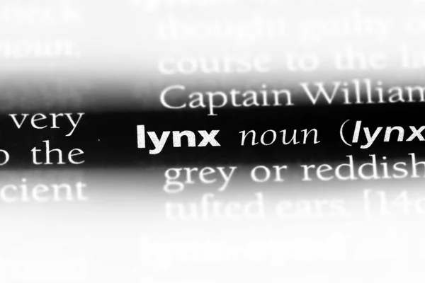 Lynx Word Dictionary Lynx Concept — Stock Photo, Image