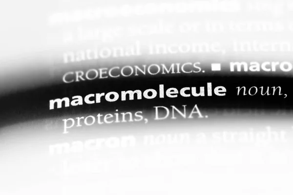 Макромолекулярное Слово Словаре Макромолекулярная Концепция — стоковое фото