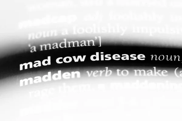 mad cow disease word in a dictionary. mad cow disease concept.