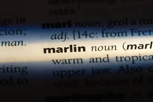 単語を辞書でマーリン マーリン コンセプト — ストック写真