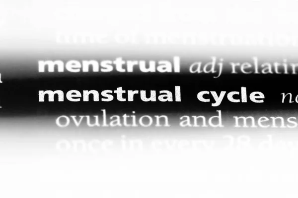 Слово Менструального Цикла Словаре Концепция Менструального Цикла — стоковое фото