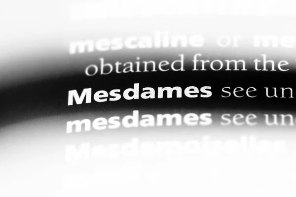 単語を辞書で Mesdames Mesdames コンセプト — ストック写真