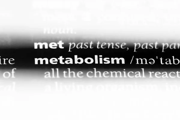 Metabolizm Słowo Słowniku Koncepcja Metabolizm — Zdjęcie stockowe