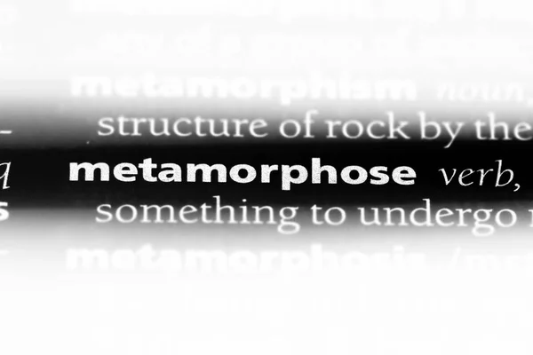 辞書でその単語をメタモルフォーゼします 概念を変容します — ストック写真