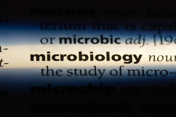 Mikrobiológia Szót Szótárban Mikrobiológia Koncepció — Stock Fotó