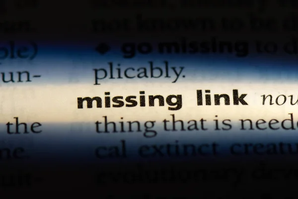 Missing Link Woord Een Woordenboek Missing Link Concept — Stockfoto