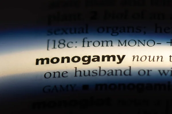 Palabra Monogamia Diccionario Concepto Monogamia —  Fotos de Stock