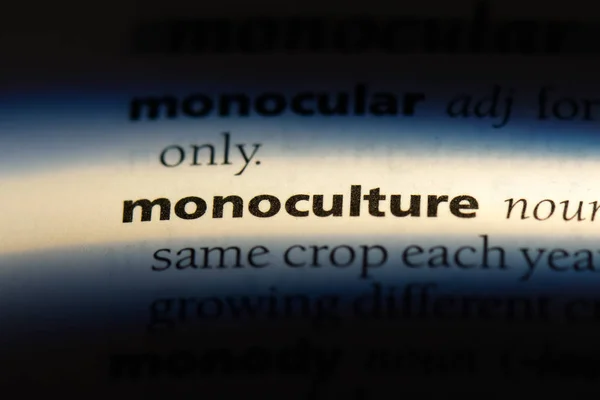 Palavra Monocultura Dicionário Conceito Monocultura — Fotografia de Stock