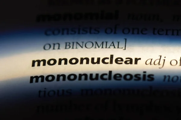 Palavra Mononuclear Dicionário Conceito Mononuclear — Fotografia de Stock