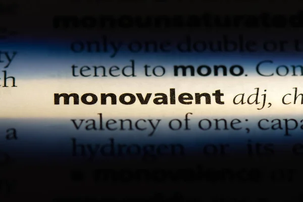 Bir Sözlüğü Ndeki Monovalent Sözcüğü Monovalent Kavramı — Stok fotoğraf