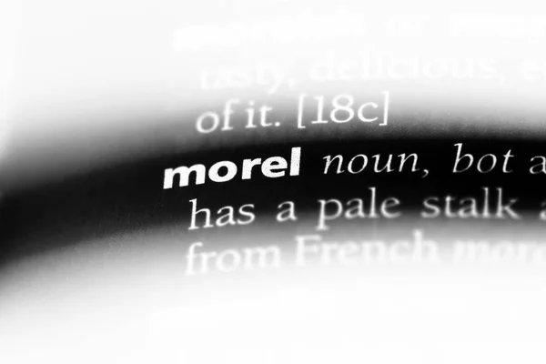 Palavra Morel Dicionário Conceito Morel — Fotografia de Stock