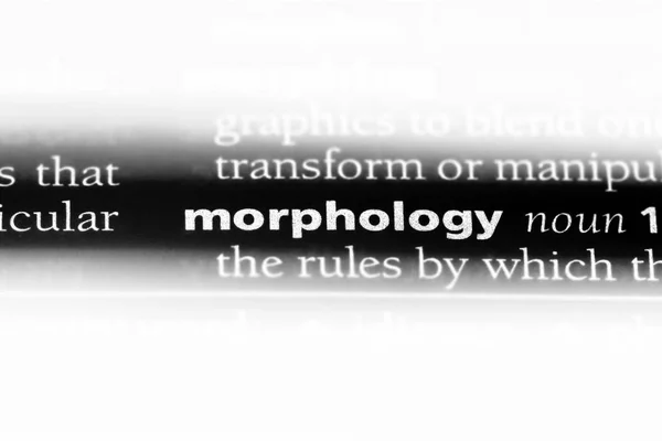 Morfológiai Szó Szótárba Morfológia Koncepció — Stock Fotó