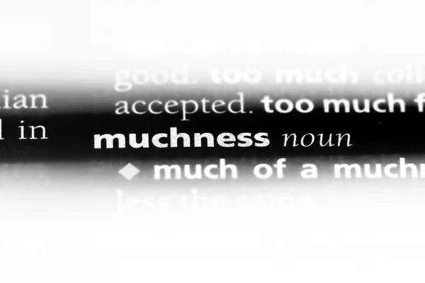 Muchness Λέξη Ένα Λεξικό Muchness Έννοια — Φωτογραφία Αρχείου