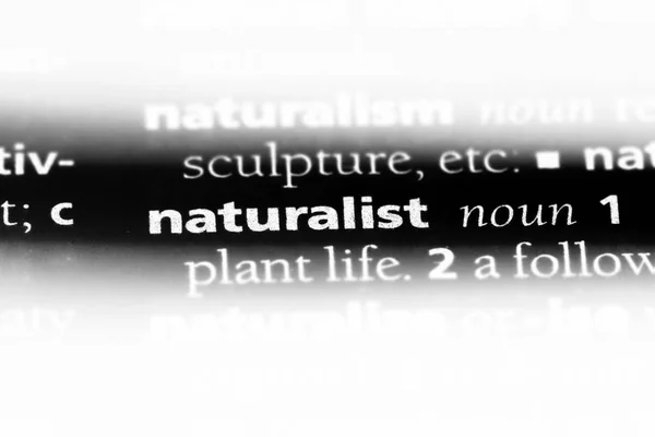 Натуралистическое Слово Словаре Натуралистская Концепция — стоковое фото
