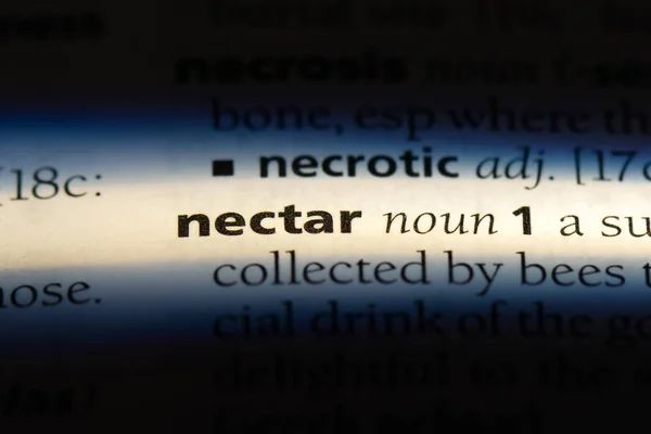 Nectar Word Dictionary Nectar Concept — Stock Photo, Image