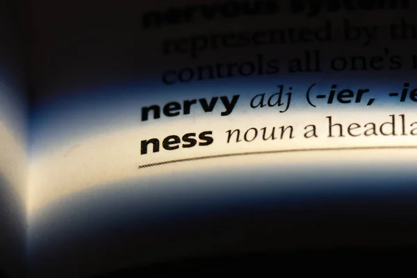 Ness Słowo Słowniku Koncepcja Ness — Zdjęcie stockowe