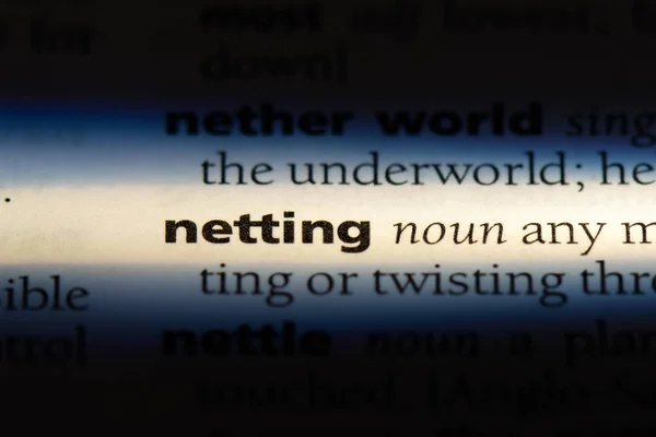 辞書でその単語をネッティングします 網の概念 — ストック写真