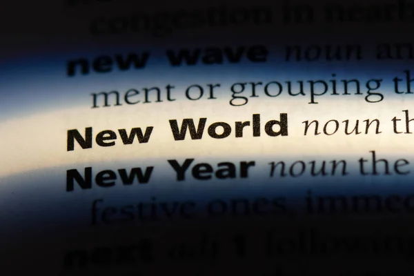 new world word in a dictionary. new world concept.