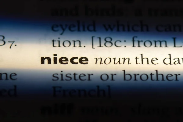 Nièce Dans Dictionnaire Nièce Concept — Photo