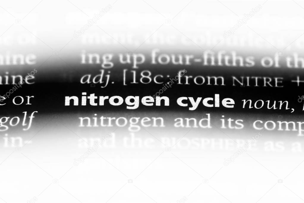 nitrogen cycle word in a dictionary. nitrogen cycle concept.