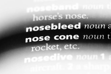 burun konisi Word'de bir sözlük. burun konisi kavramı.