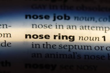 burun halkası bir sözlük tek kelimeyle. burun halka kavramı.