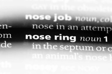 burun halkası bir sözlük tek kelimeyle. burun halka kavramı.