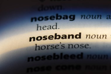 bir sözlüğü'ndeki noseband sözcüğü. noseband kavramı.