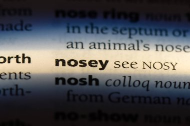 bir sözlüğü'ndeki meraklı sözcüğü. meraklı kavram.