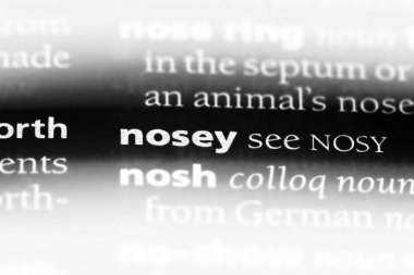 bir sözlüğü'ndeki meraklı sözcüğü. meraklı kavram.