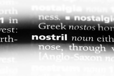 burun deliği Word'de bir sözlük. burun deliği kavramı.