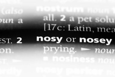 bir sözlüğü'ndeki meraklı sözcüğü. meraklı kavram.