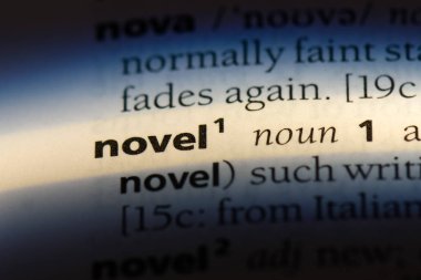 Roman tek kelimeyle bir sözlük. roman kavramı.