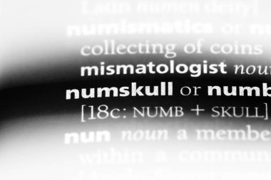 bir sözlüğü'ndeki dangalakla sözcüğü. dangalakla kavramı.