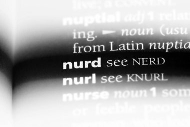 bir sözlüğü'ndeki nurd sözcüğü. nurd kavramı.