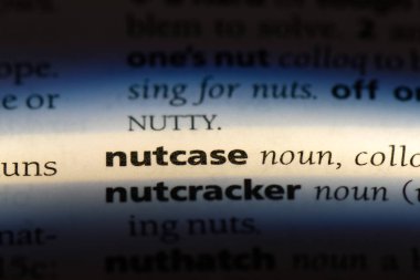 kaçık bir sözlük tek kelimeyle. kaçık kavramı.