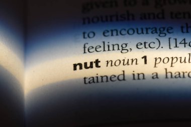 somun Word'de bir sözlük. somun kavramı.