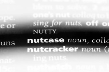 kaçık bir sözlük tek kelimeyle. kaçık kavramı.