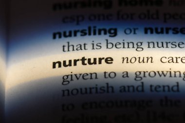 bir sözlüğü'ndeki sözcüğü beslemek. yetiştirme kavramı.