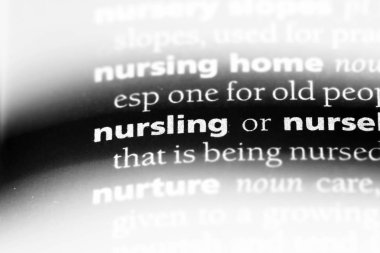 Nursling Word'de bir sözlük. Nursling kavramı.