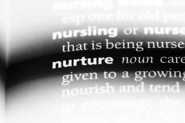 bir sözlüğü'ndeki sözcüğü beslemek. yetiştirme kavramı.