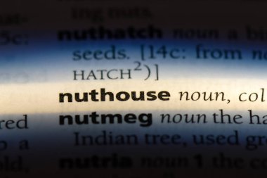 deliler evi Word'de bir sözlük. deliler evi konsepti.