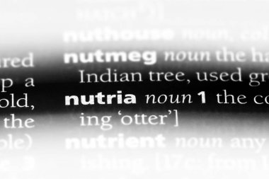 eğitimin Word'de bir sözlük. eğitimin kavramı.