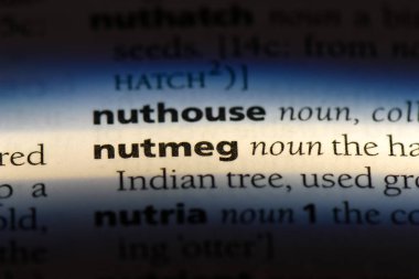 Küçük Hindistan cevizi tek kelimeyle bir sözlük. Küçük Hindistan cevizi kavramı.