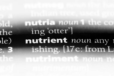 besin tek kelimeyle bir sözlük. besin kavramı.