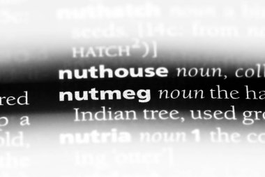 Küçük Hindistan cevizi tek kelimeyle bir sözlük. Küçük Hindistan cevizi kavramı.