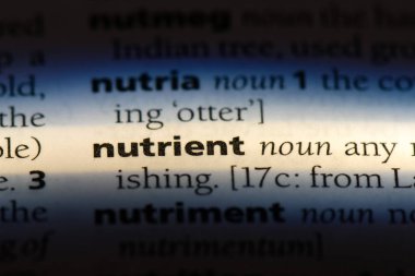 besin tek kelimeyle bir sözlük. besin kavramı.