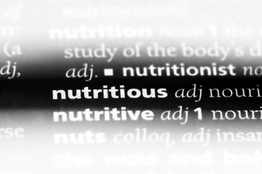 bir sözlüğü'ndeki besleyici sözcüğü. besleyici kavramı.