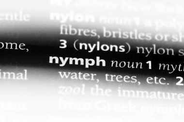 su perisi Word'de bir sözlük. su perisi kavramı.