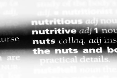 fındık Word'de bir sözlük. fındık kavramı.